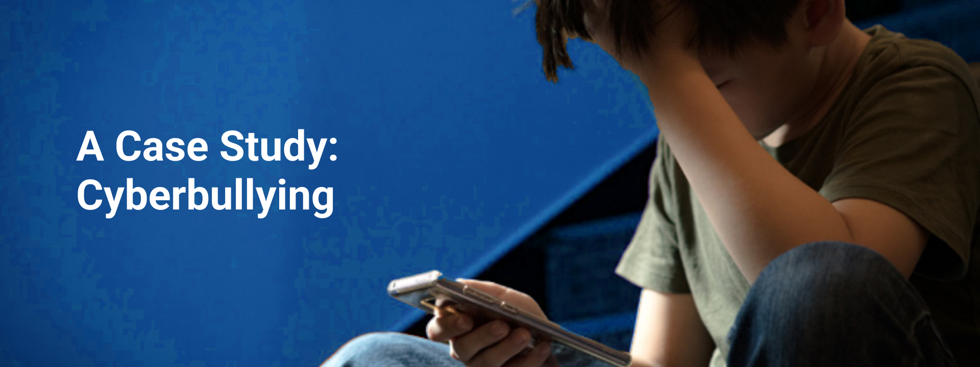 How We Tackled Cyberbullying: A Case Study