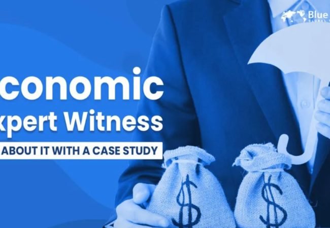 economic expert witness