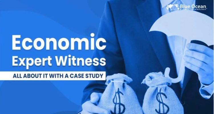 economic expert witness