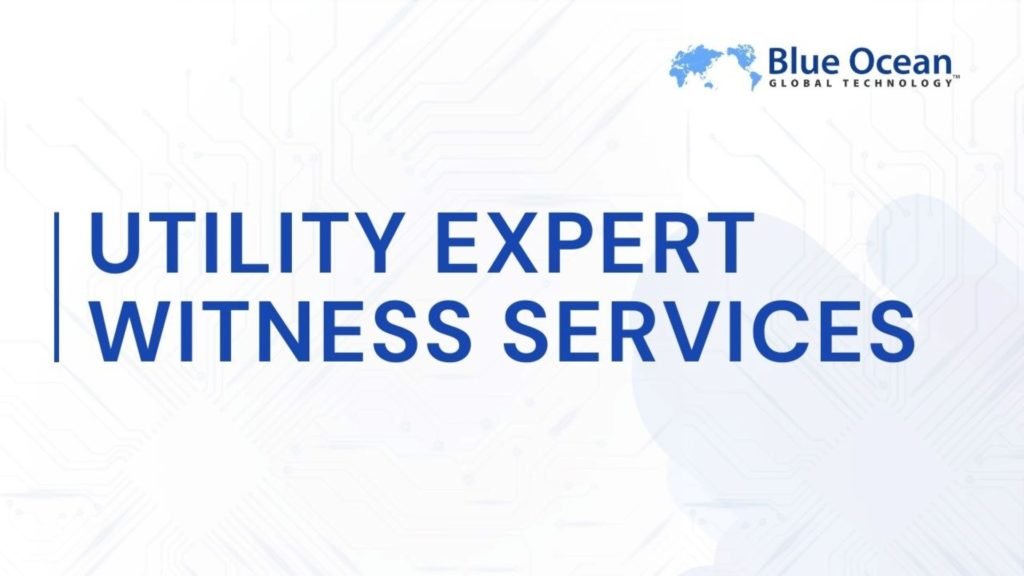 Software Expert Witness Services