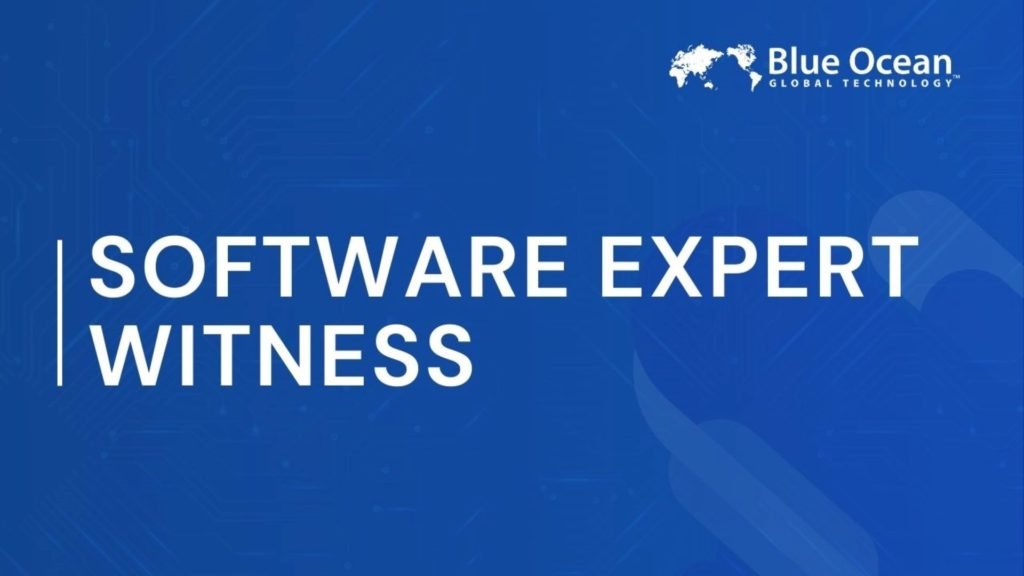 software-expert-witness