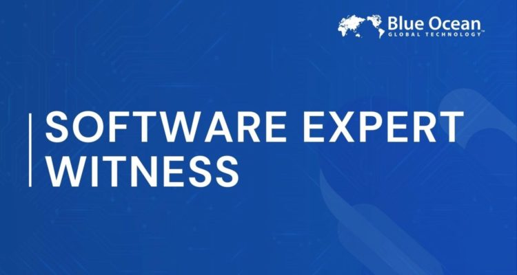 software-expert-witness