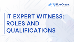 it-expert-witness-roles-and-classifications